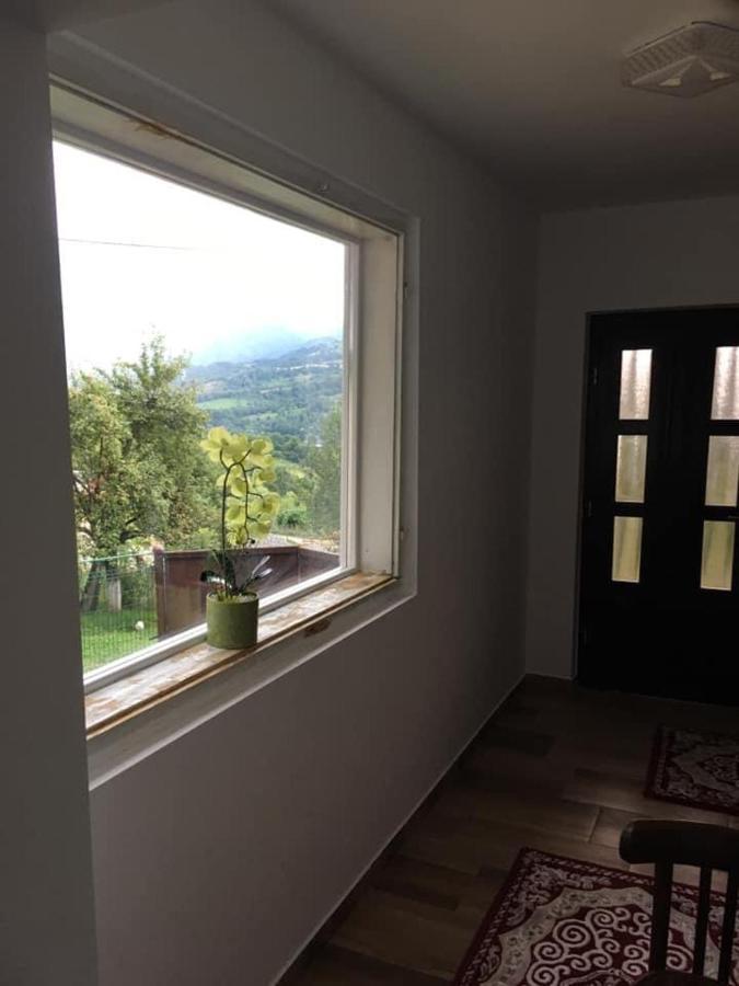 Cabana Hatere مويزي المظهر الخارجي الصورة