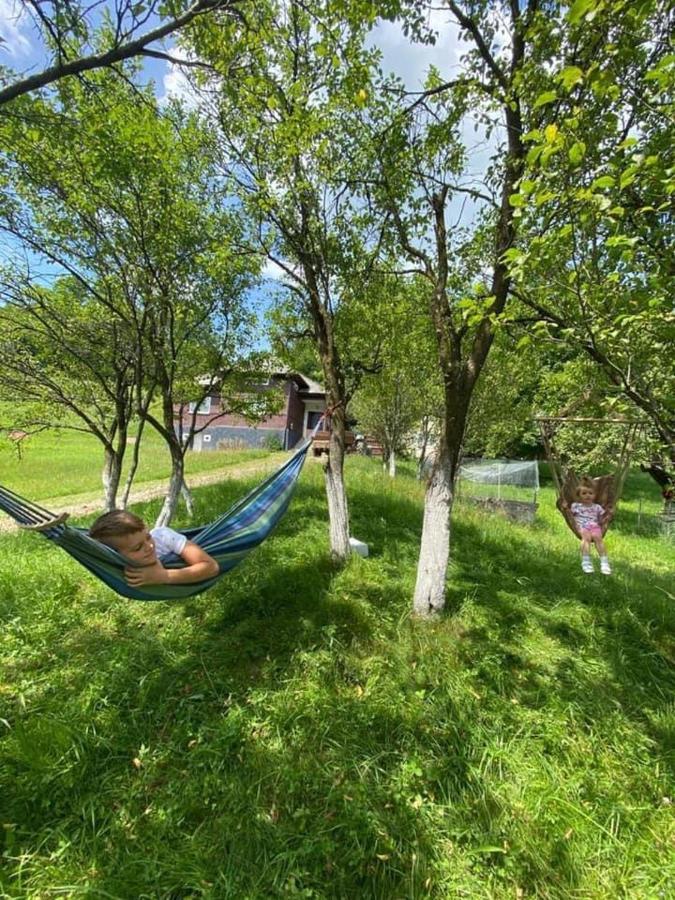 Cabana Hatere مويزي المظهر الخارجي الصورة